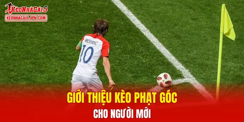 Giới thiệu kèo phạt góc cho người mới