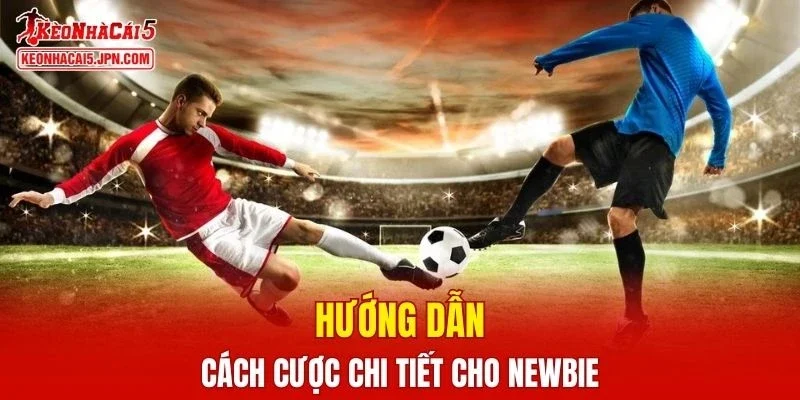 Hướng dẫn cách cược chi tiết cho newbie
