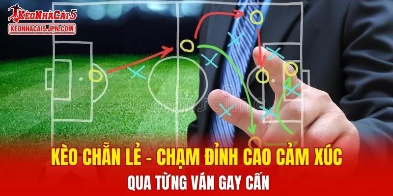 Kèo Chẵn Lẻ