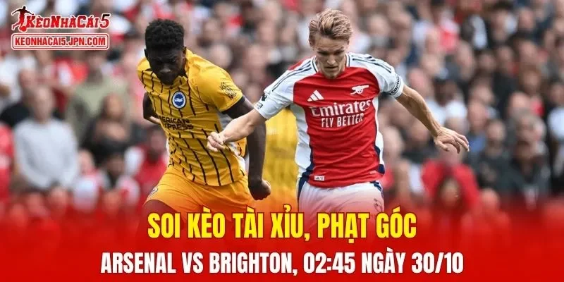 Trận đấu giữa Arsenal Vs Brighton đang hứa hẹn sẽ bùng nổ