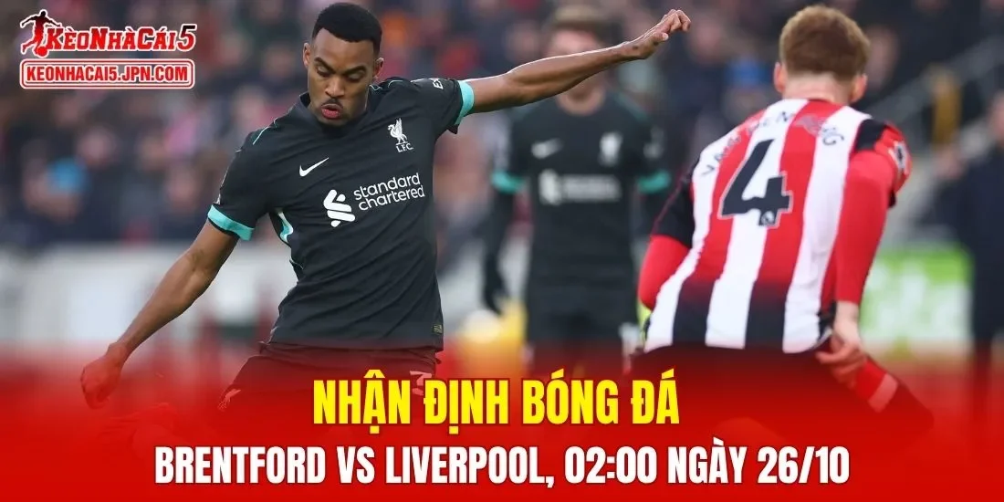 Trận đấu giữa Brentford vs Liverpool hứa hẹn sẽ đầy kịch tính