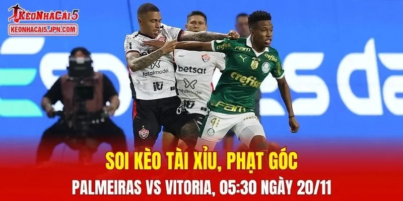 Cuộc đối đầu giữa Palmeiras và Vitoria hứa hẹn những tình huống căng thẳng