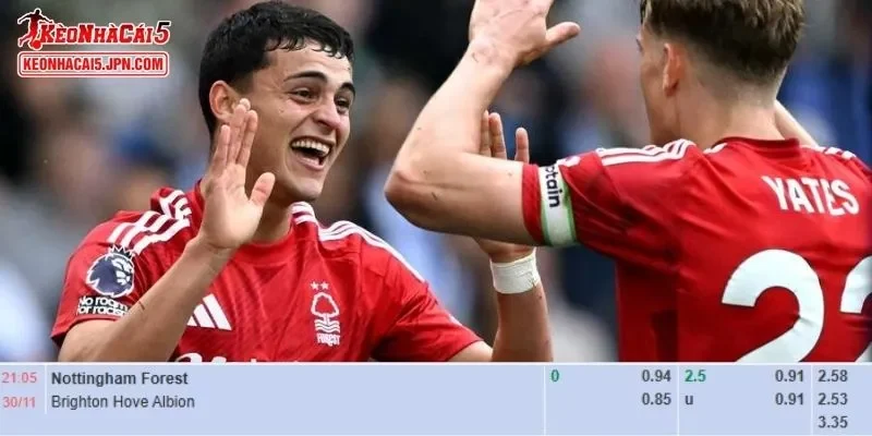 Phân tích kèo chuẩn xác nhất cho trận đấu giữa Nottingham Forest vs Brighton