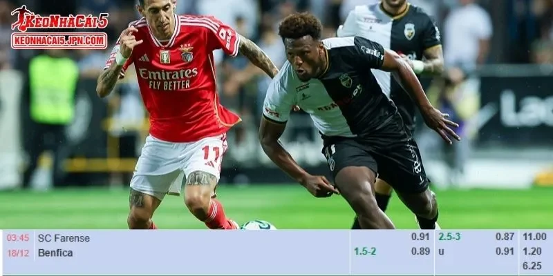 Tỷ lệ kèo chi tiết của trận Farense vs Benfica