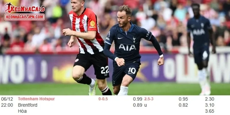 Tỷ lệ kèo chi tiết của trận Tottenham vs Brentford