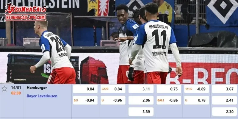 Tỷ lệ kèo chi tiết của của trận Hamburger SV vs Leverkusen